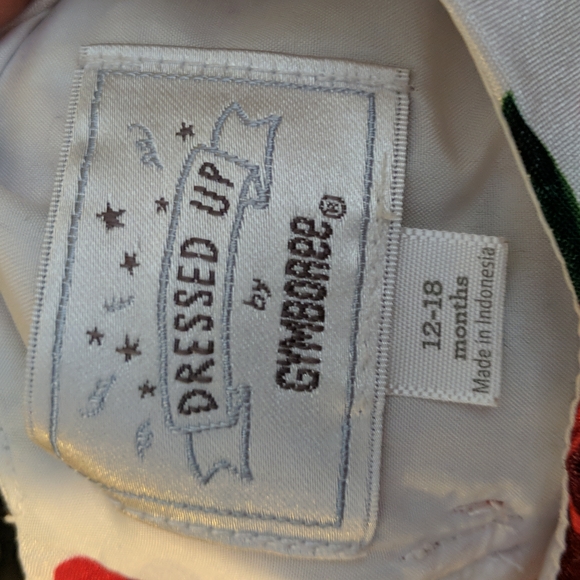 Gymboree Formal Red Roses Dress - Picture 6 of 6